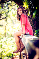 KAB_8482 copyfawn
